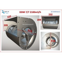 dimensions DDM 7/7 300w nicotra