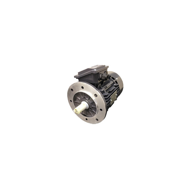 Moteur à brides type B5 - 400v -750w - axe 19mm
