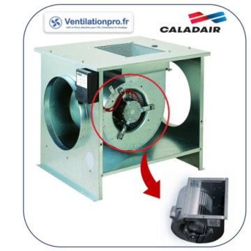 Moto-ventilateur de rechange pour caisson Caladair Minimax 315 -230v